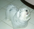 barking
